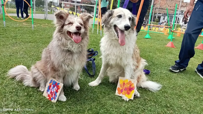 Imagen de mascota feliz