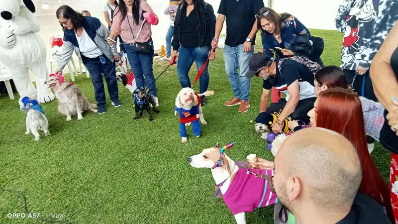 Imagen de mascota feliz