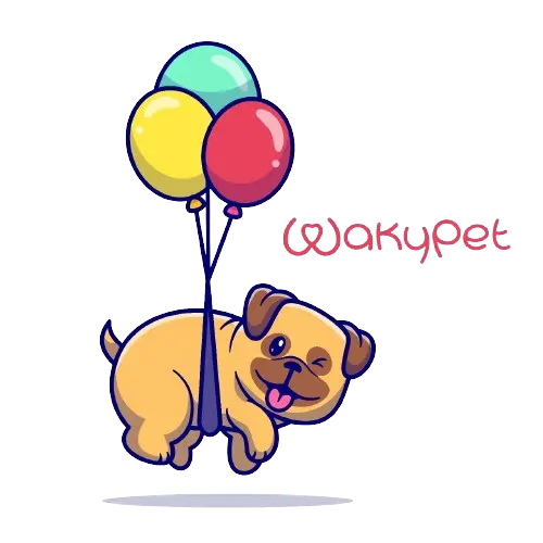 App Wakypet