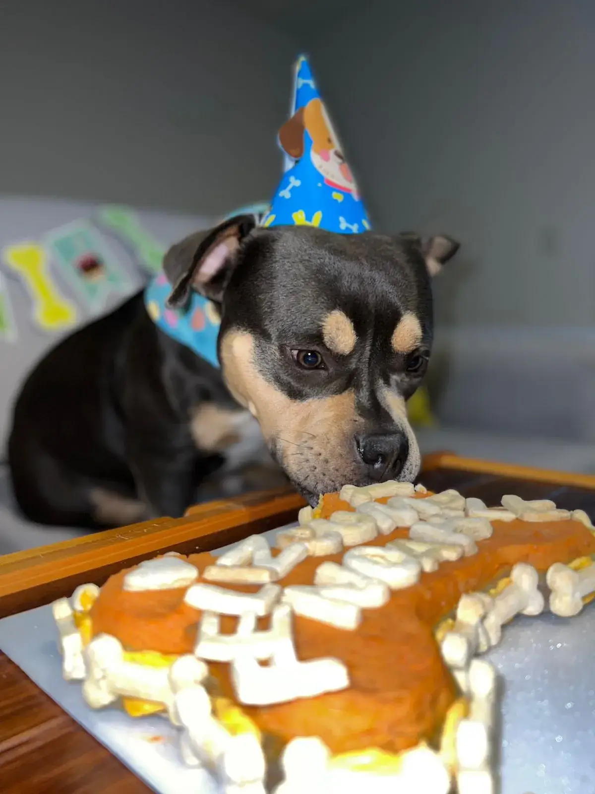 Imagen de mascota feliz