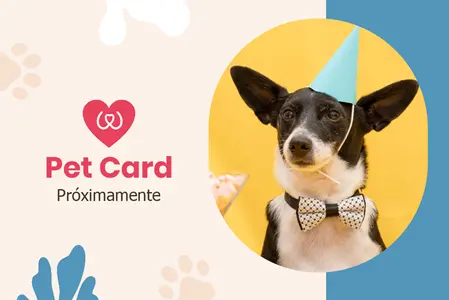 PetCard